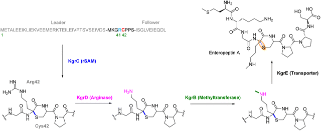 image file: d5cs00585j-f15.tif