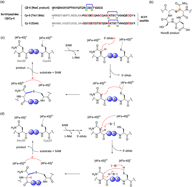 image file: d5cs00585j-f16.tif