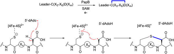 image file: d5cs00585j-f17.tif