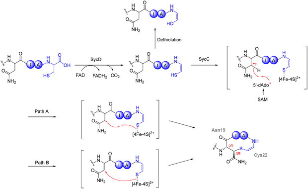image file: d5cs00585j-f18.tif