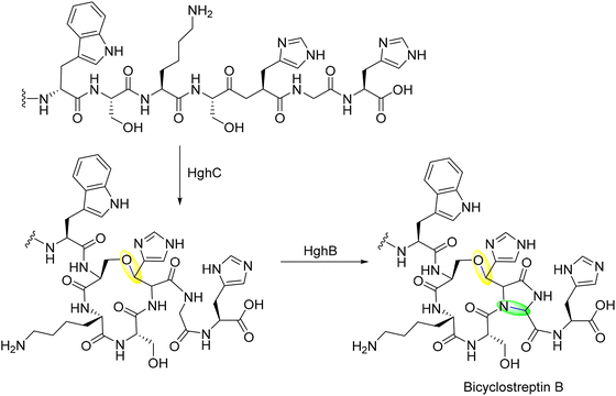 image file: d5cs00585j-f20.tif