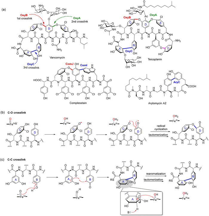 image file: d5cs00585j-f22.tif