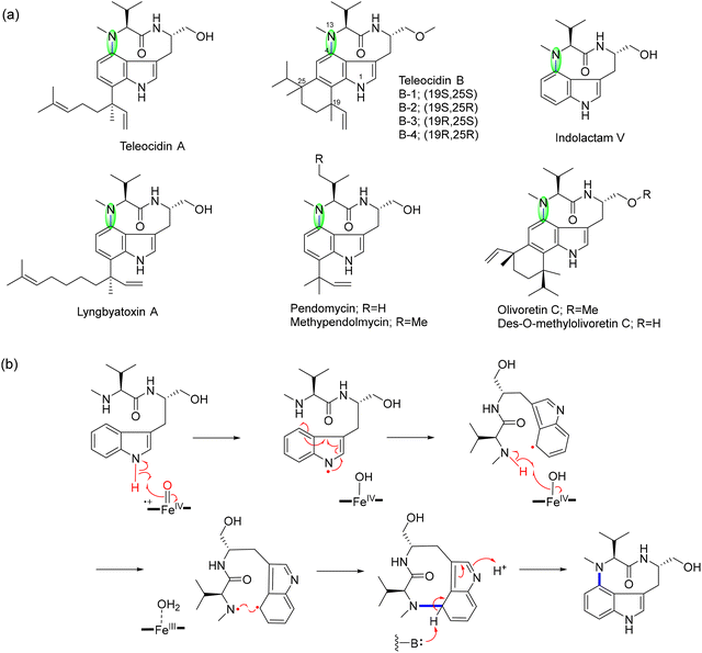 image file: d5cs00585j-f23.tif