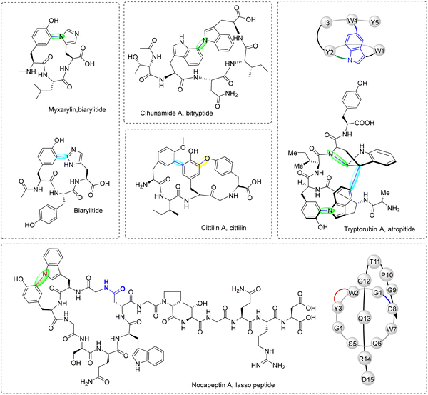 image file: d5cs00585j-f24.tif