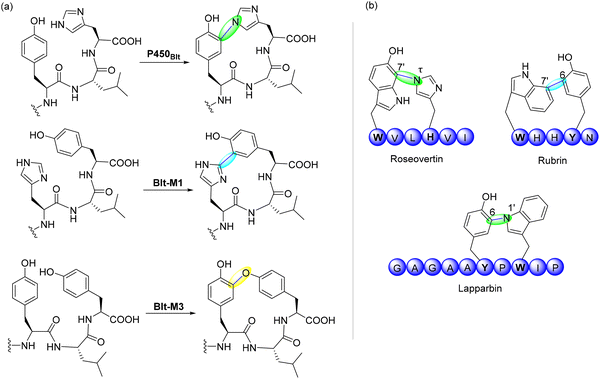 image file: d5cs00585j-f25.tif