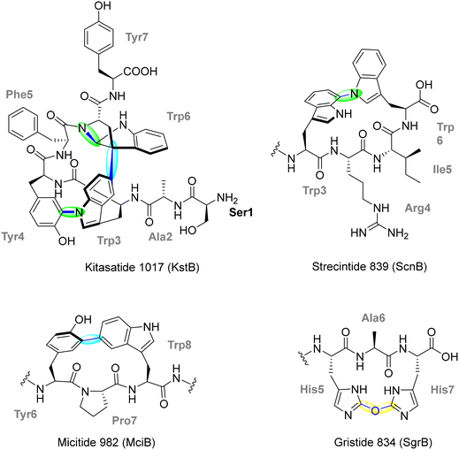 image file: d5cs00585j-f27.tif