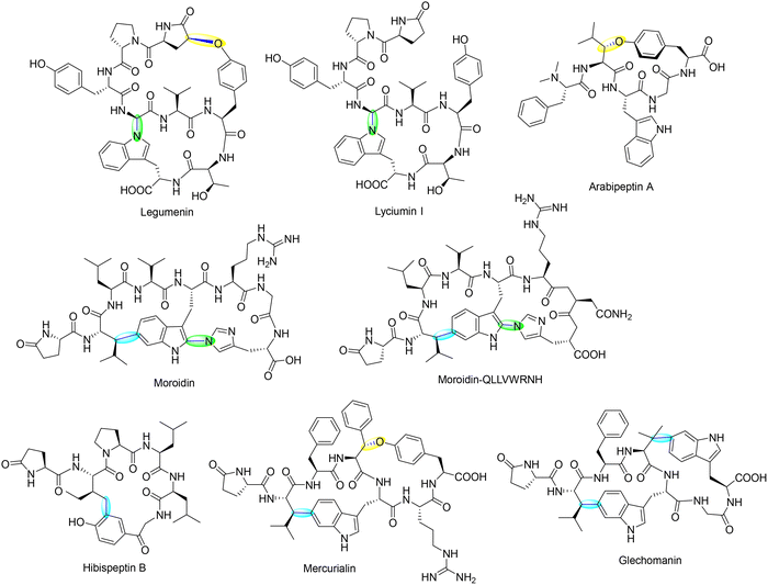 image file: d5cs00585j-f28.tif