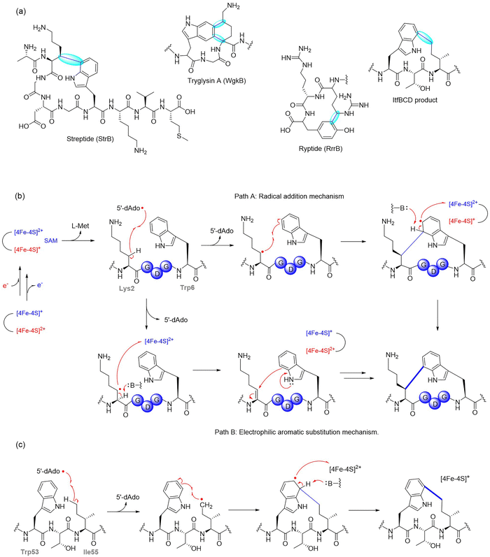 image file: d5cs00585j-f3.tif