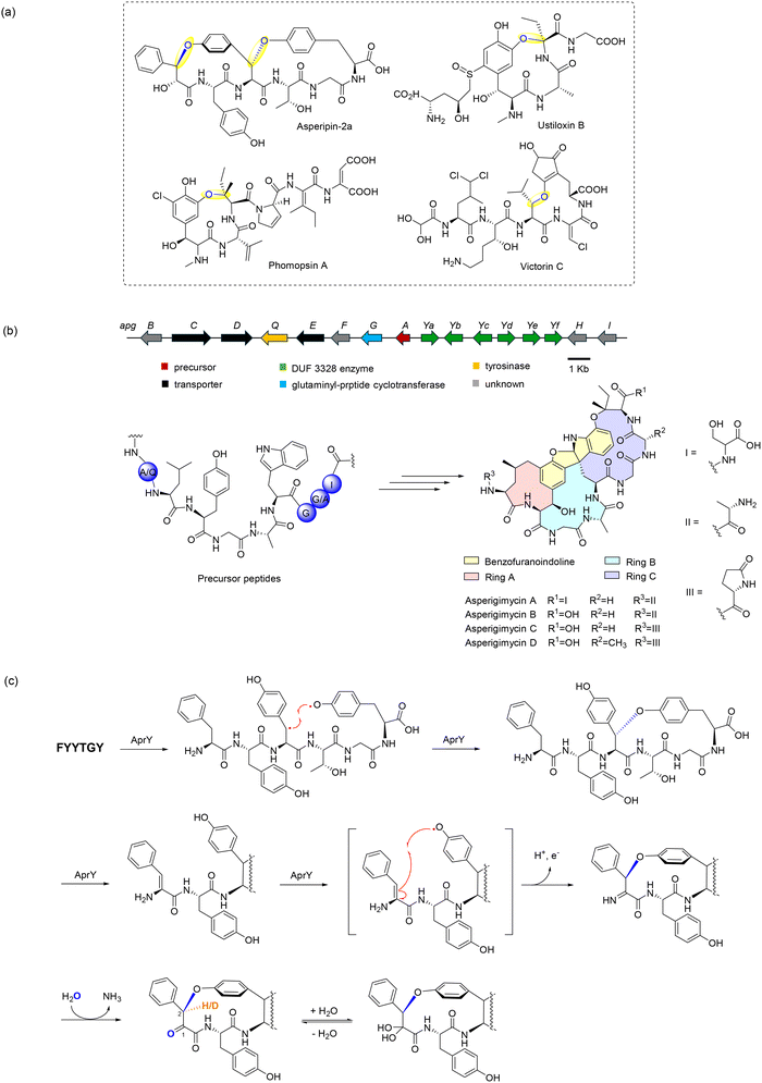 image file: d5cs00585j-f30.tif