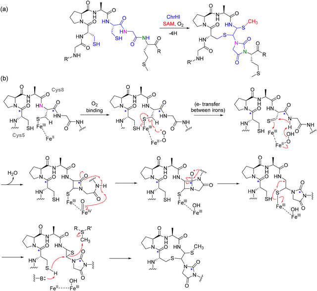 image file: d5cs00585j-f31.tif