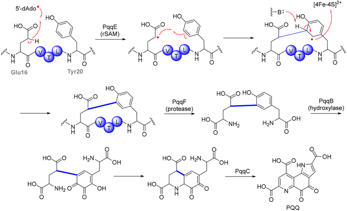 image file: d5cs00585j-f4.tif