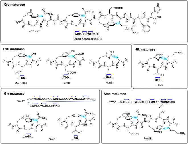 image file: d5cs00585j-f5.tif