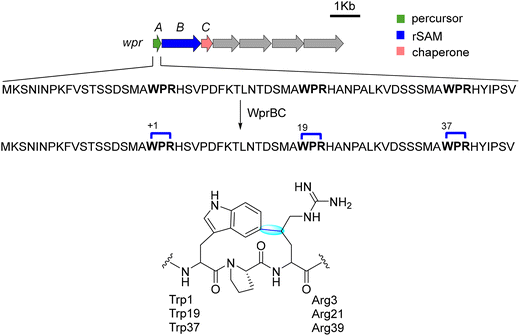 image file: d5cs00585j-f7.tif