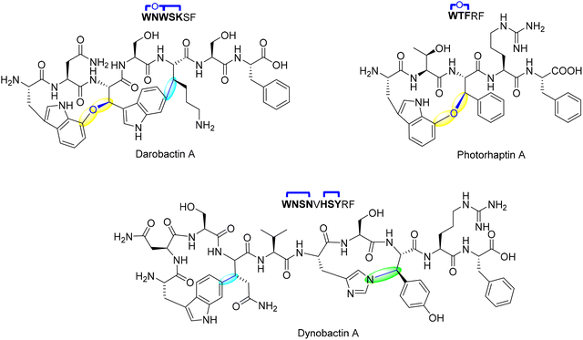 image file: d5cs00585j-f8.tif