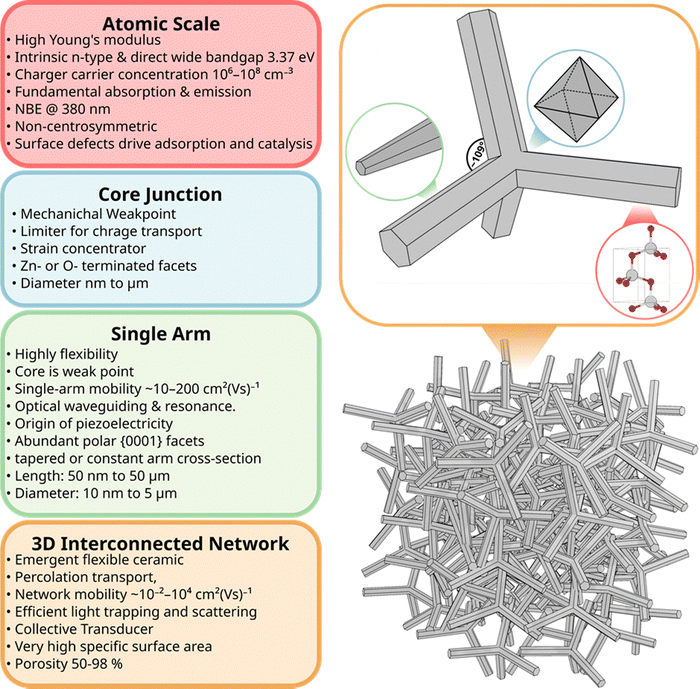 image file: d5cs00594a-f12.tif