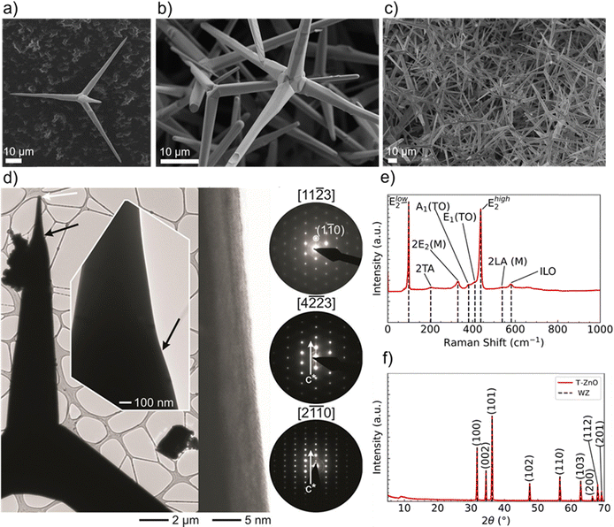 image file: d5cs00594a-f13.tif