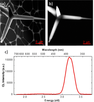 image file: d5cs00594a-f14.tif