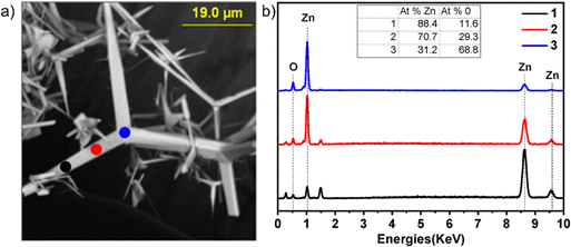 image file: d5cs00594a-f16.tif