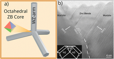 image file: d5cs00594a-f2.tif
