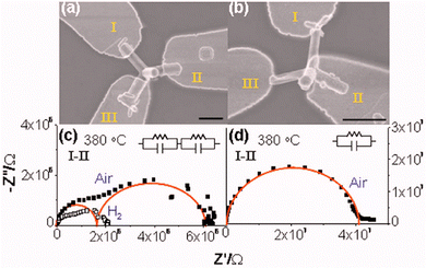 image file: d5cs00594a-f21.tif