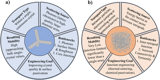 image file: d5cs00594a-f22.tif