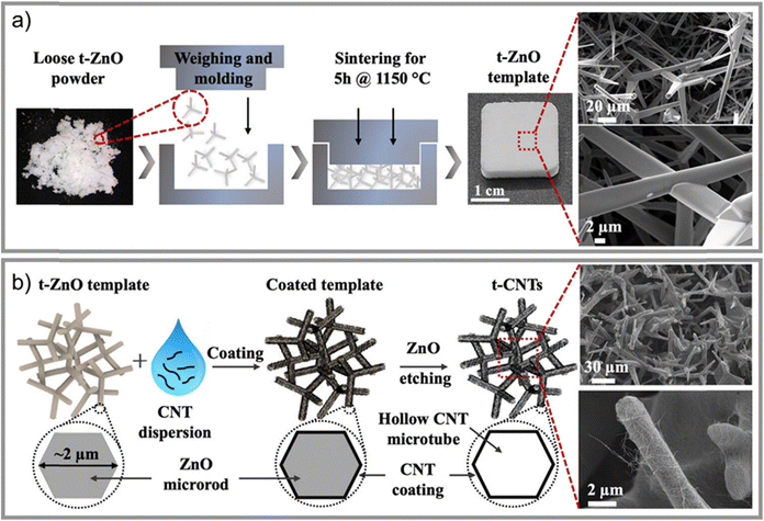 image file: d5cs00594a-f31.tif