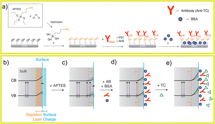 image file: d5cs00594a-f40.tif
