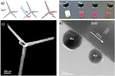 image file: d5cs00594a-f41.tif