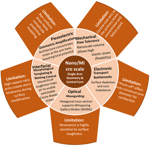 image file: d5cs00594a-f45.tif