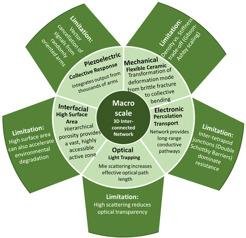 image file: d5cs00594a-f46.tif