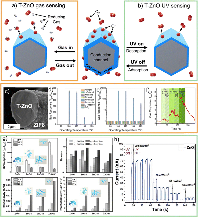 image file: d5cs00594a-f48.tif