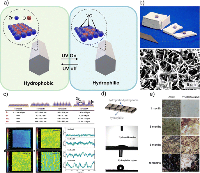 image file: d5cs00594a-f51.tif