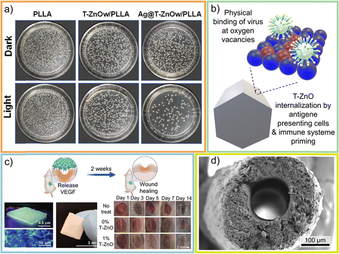 image file: d5cs00594a-f52.tif