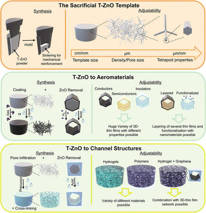 image file: d5cs00594a-f53.tif