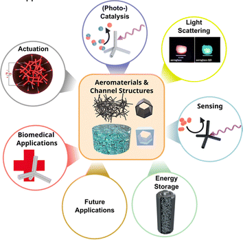 image file: d5cs00594a-f54.tif