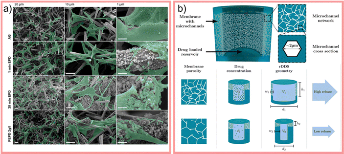 image file: d5cs00594a-f57.tif