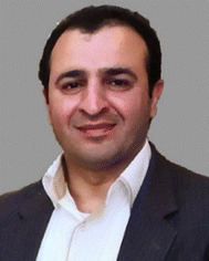 image file: d5cs00594a-p1.tif