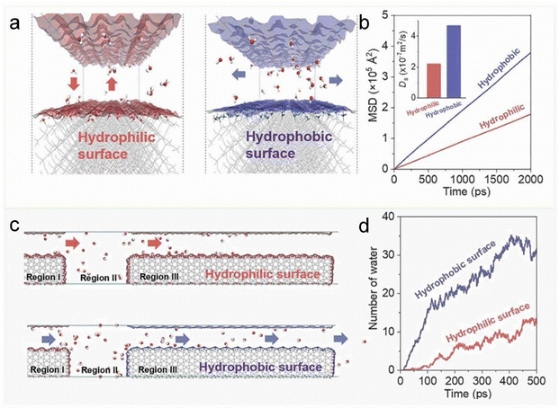 image file: d5cs00613a-f27.tif