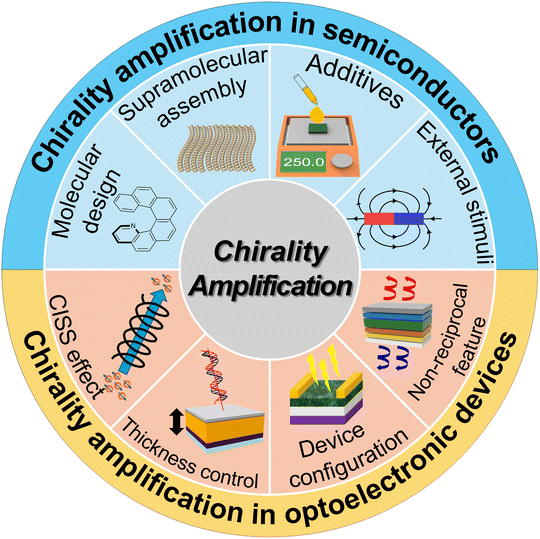image file: d5cs00684h-f1.tif