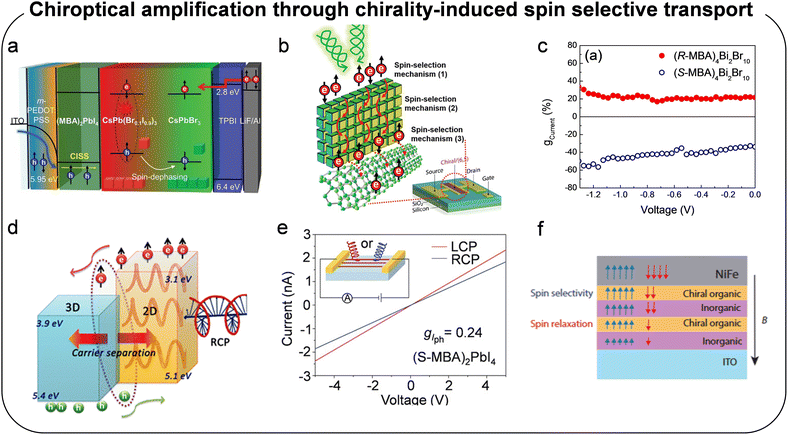 image file: d5cs00684h-f16.tif
