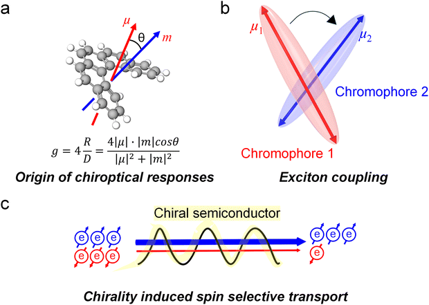 image file: d5cs00684h-f2.tif