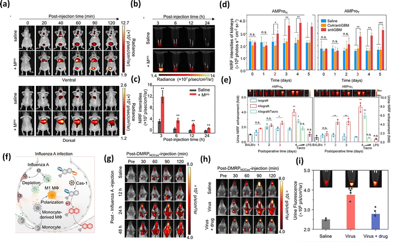 image file: d5cs00734h-f12.tif