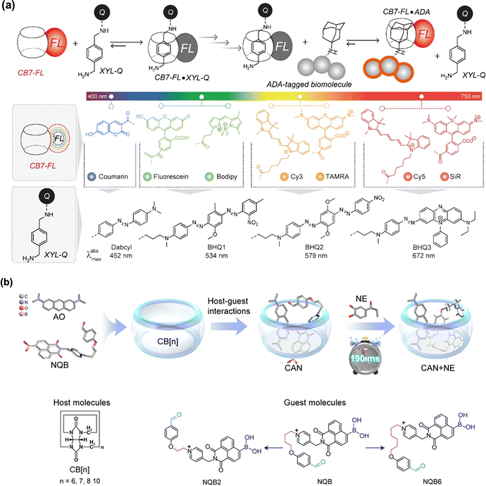 image file: d5cs00734h-f16.tif