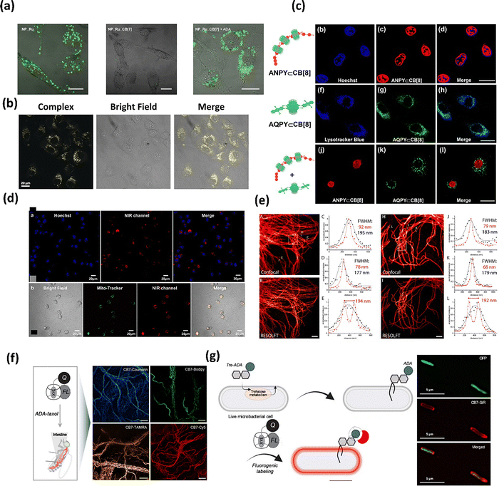 image file: d5cs00734h-f20.tif