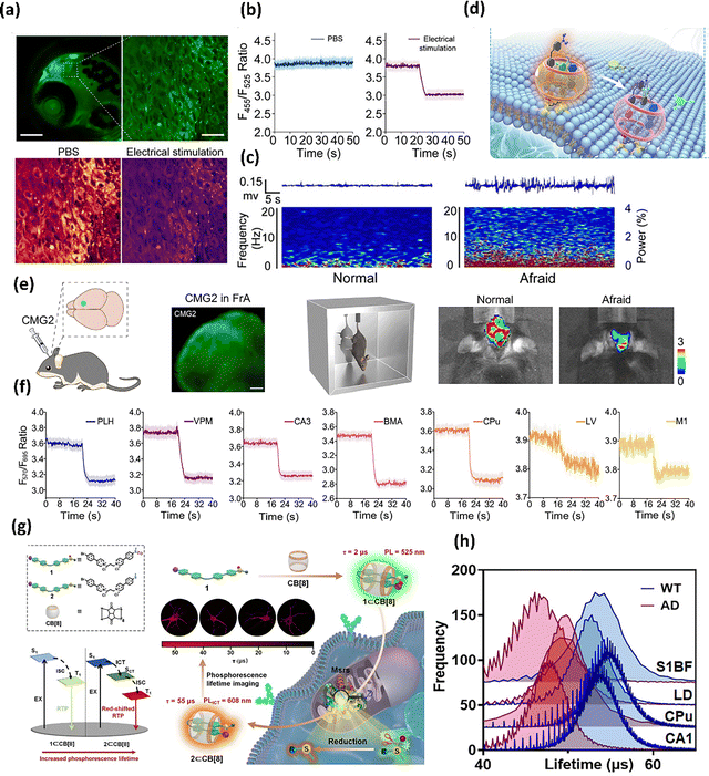 image file: d5cs00734h-f21.tif