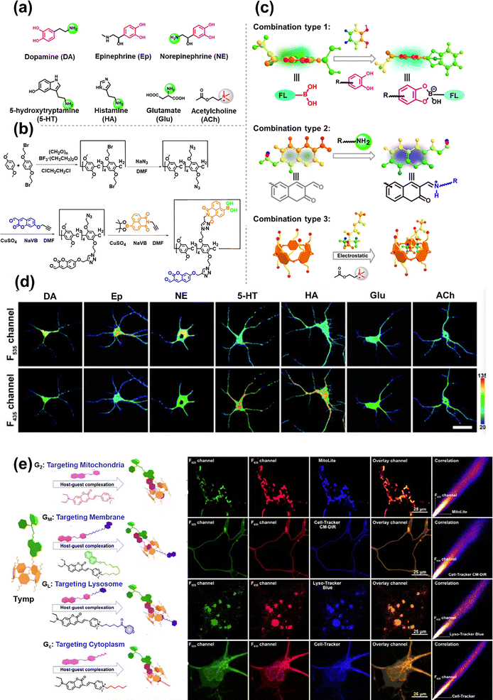 image file: d5cs00734h-f25.tif