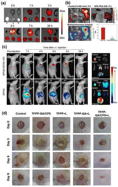 image file: d5cs00734h-f26.tif