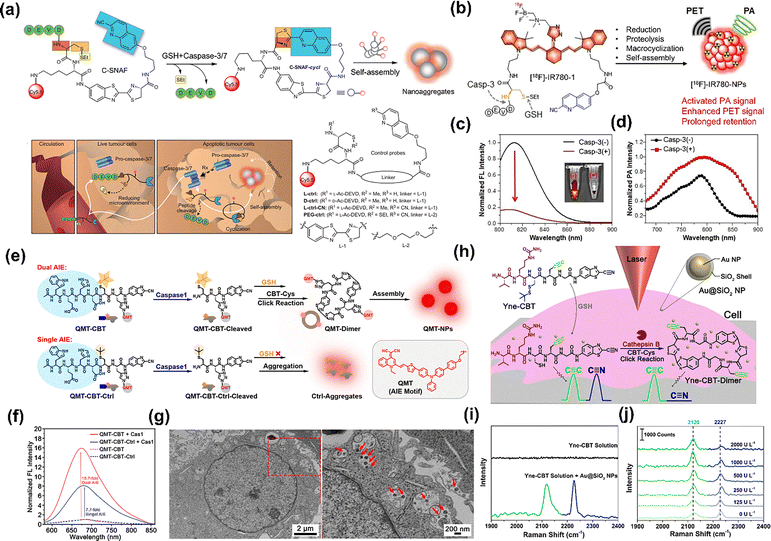image file: d5cs00734h-f27.tif