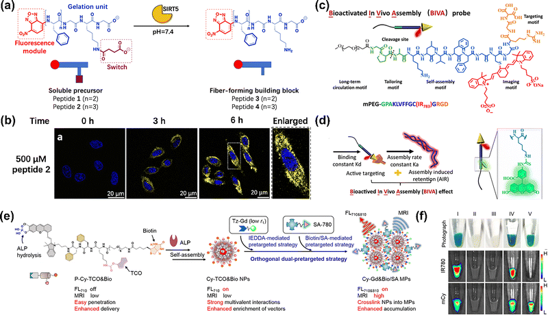 image file: d5cs00734h-f28.tif