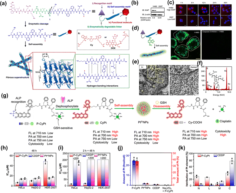 image file: d5cs00734h-f29.tif